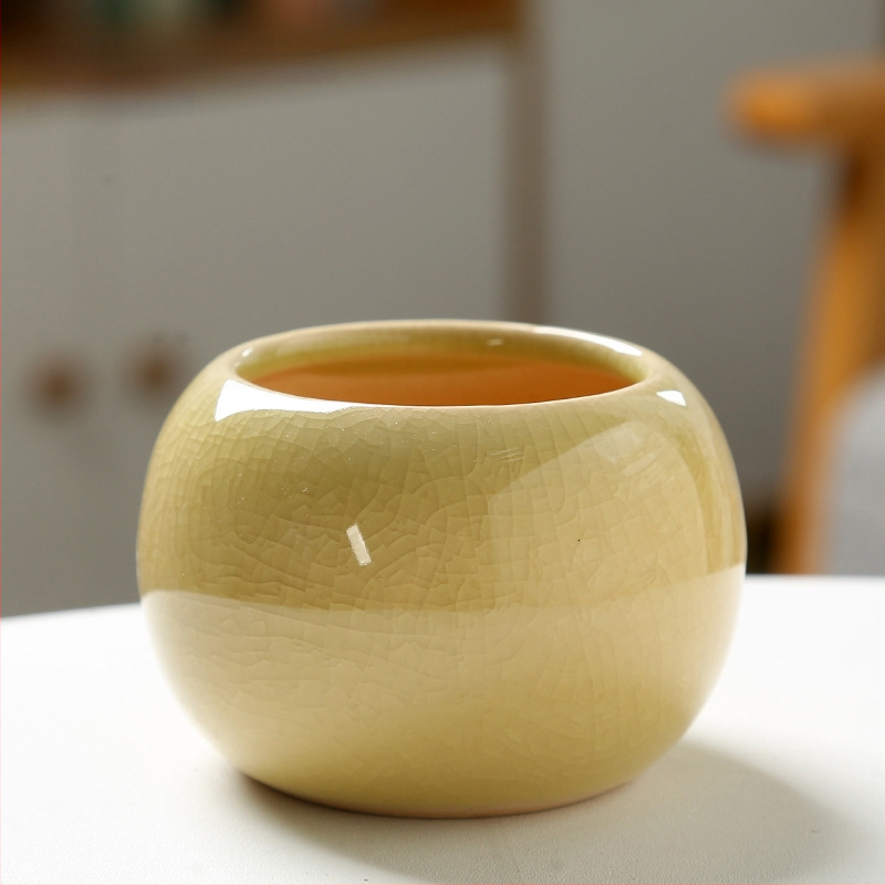 Keramický kvetináč na sukulenty, na podlahu, jednoduchý štýl, domáca záhrada