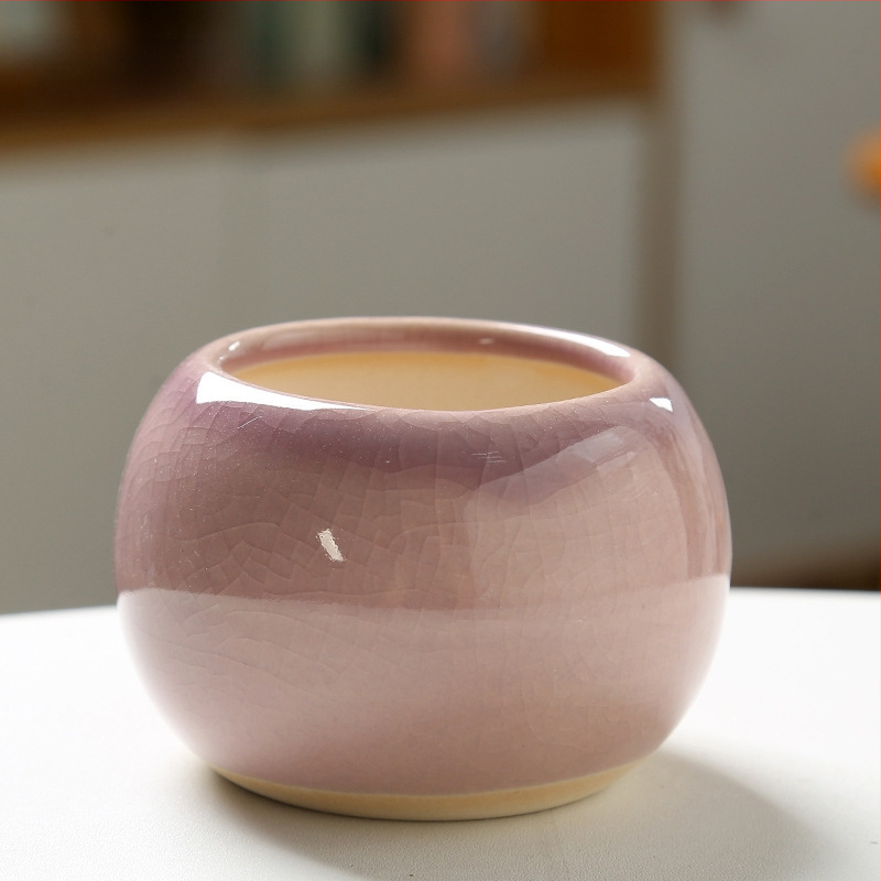 Keramický kvetináč na sukulenty, na podlahu, jednoduchý štýl, domáca záhrada