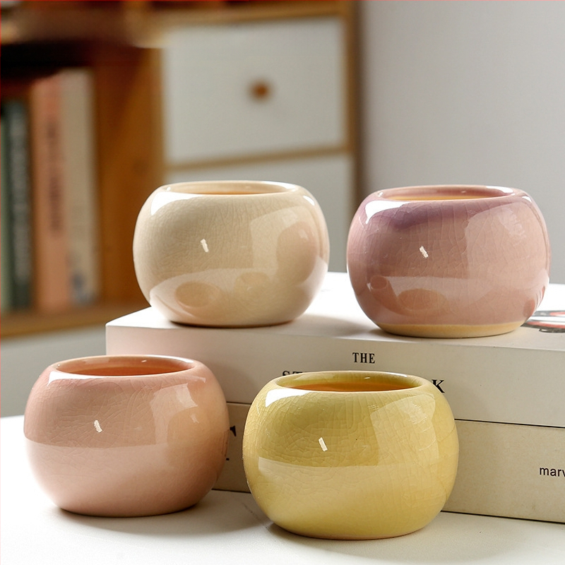 Keramický kvetináč na sukulenty, na podlahu, jednoduchý štýl, domáca záhrada