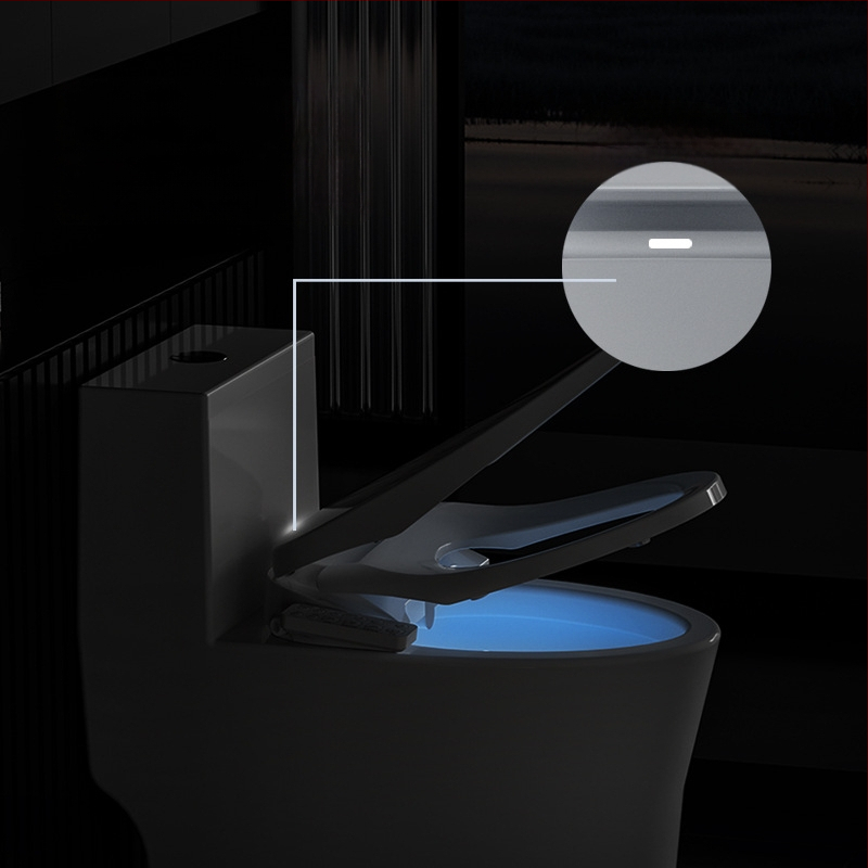 Inteligentná toaletná seda s bidetom — PP doska, RF001-ACMB, nastaviteľný tlak vody, teplota vody a teplý vzduch, samočistiaca tryska, EU 220V/US 110V kompatibilita