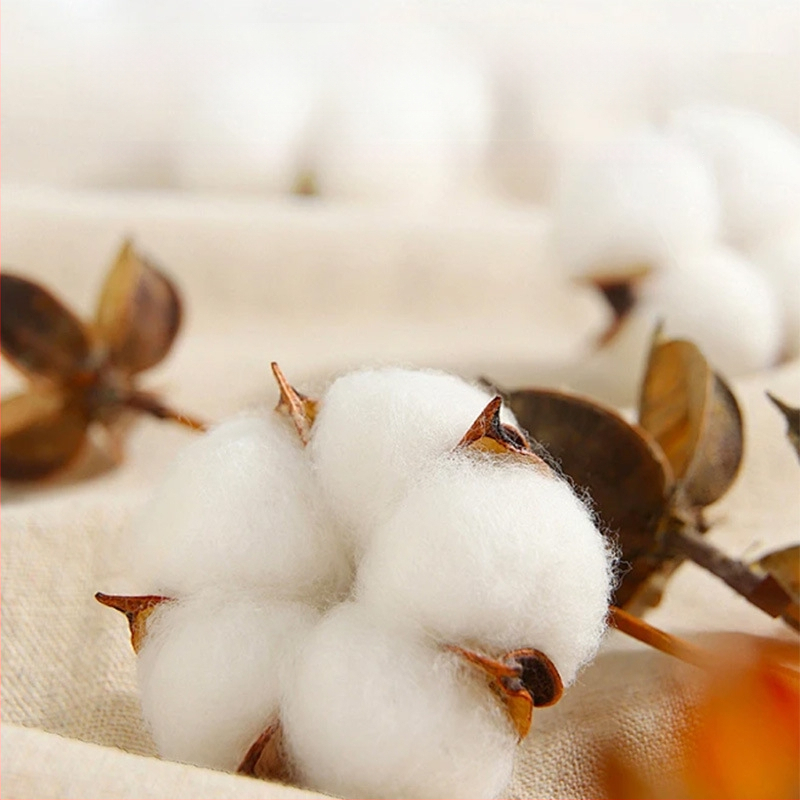 Ťažká bavlnená mikina, voľný strih, guľatý výstrih, dlhé rukávy