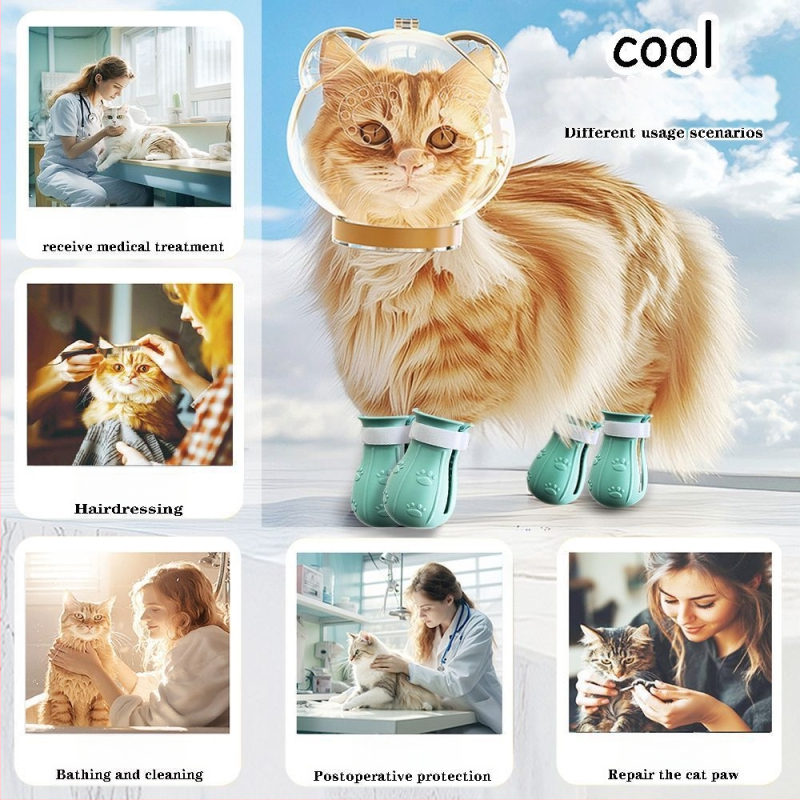 Priehľadný ochranný kryt hlavy pre mačku — proti uhryznutiu, poškriabaniu a bitkám; na kúpanie a strihanie nechtov; materiál: plast; značka Cute and Fun