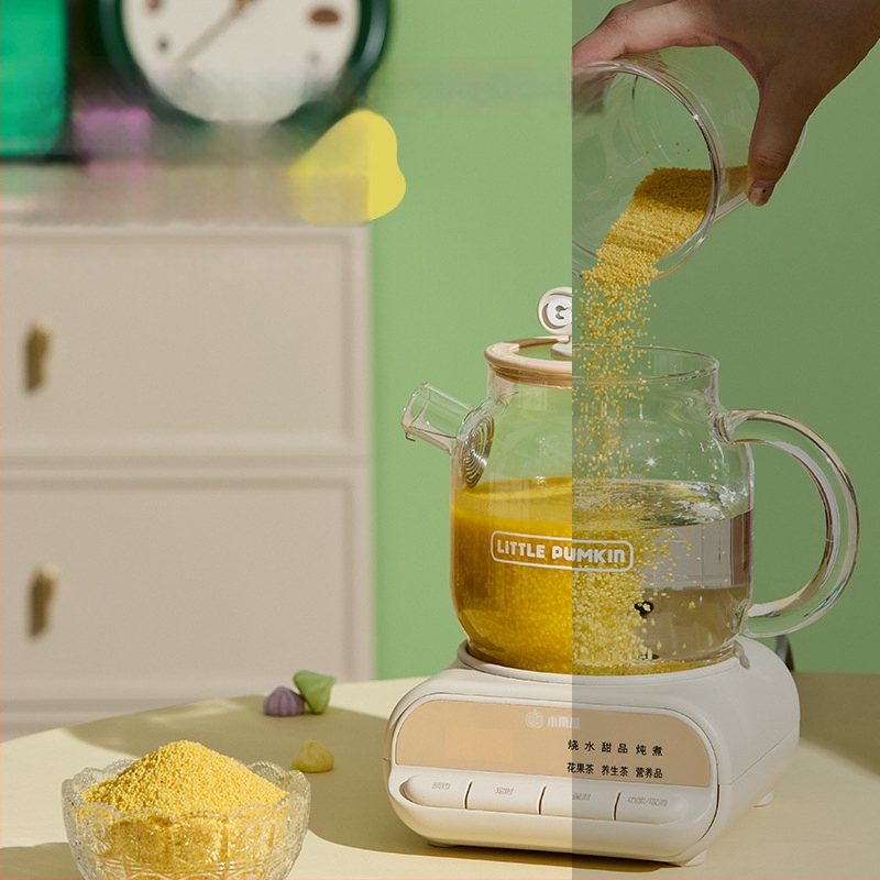 Zdravotný hrniec so skleneným telom z borosilikátového skla, objem 1 L, 220V 500W, digitálny termostat, ovládanie tlačidlom, model F1