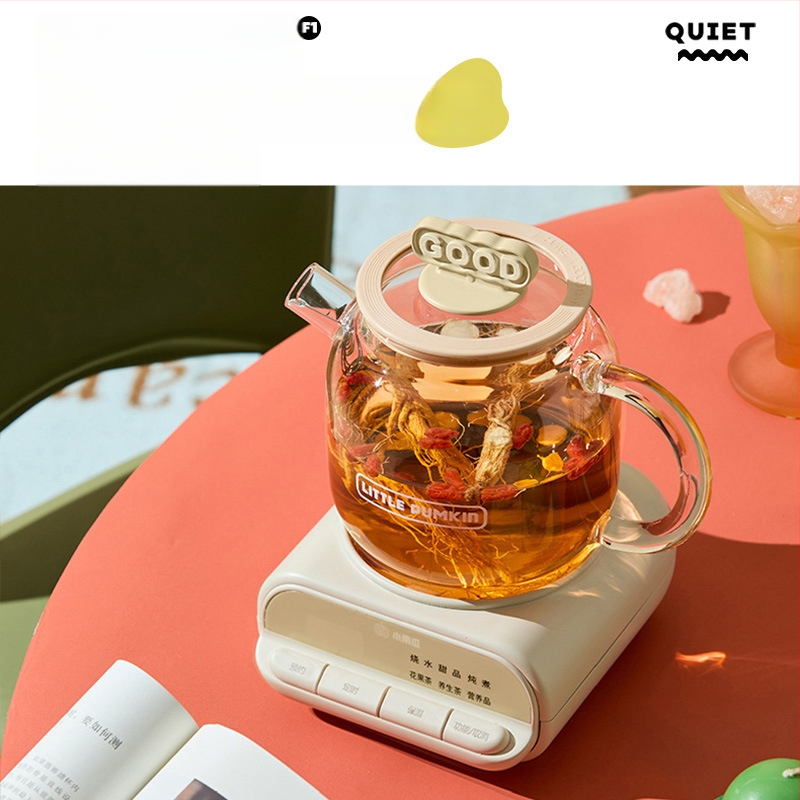 Zdravotný hrniec so skleneným telom z borosilikátového skla, objem 1 L, 220V 500W, digitálny termostat, ovládanie tlačidlom, model F1