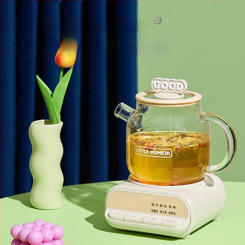 Zdravotný hrniec so skleneným telom z borosilikátového skla, objem 1 L, 220V 500W, digitálny termostat, ovládanie tlačidlom, model F1