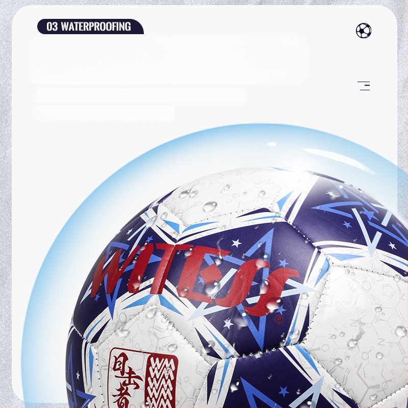 PVC futbalová lopta, šitá strojom, národný štandard, tlačené logo, možnosť prispôsobenia