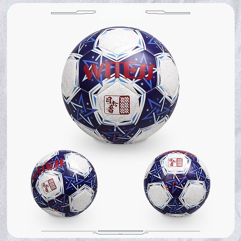 PVC futbalová lopta, šitá strojom, národný štandard, tlačené logo, možnosť prispôsobenia