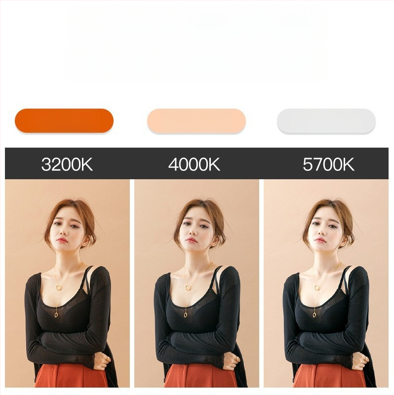 Фотографско запълващо осветление, 300W, многостепенно регулиране, вертикално използване за красота и видеозаснемане