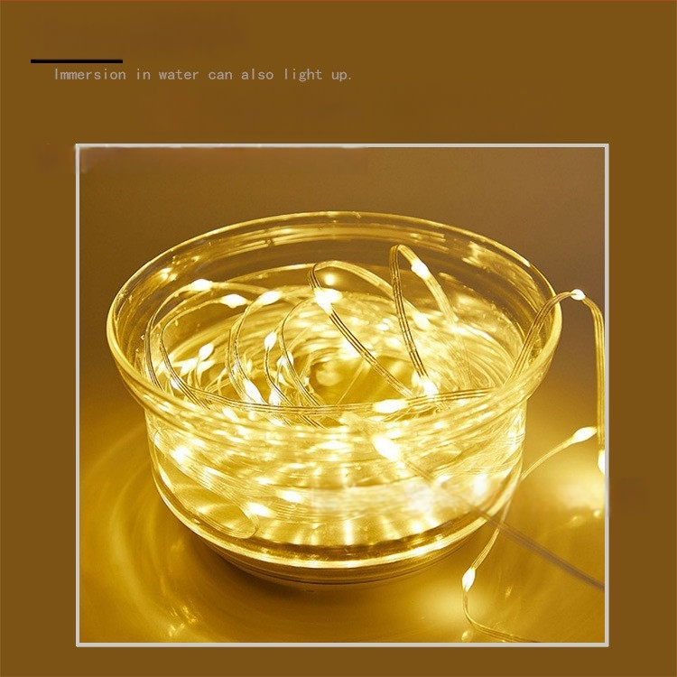 LED reťaz s koženým káblom pre vonkajšie použitie (20 LED, IP65, napájanie batériou, diaľkové ovládanie, ≤36V)