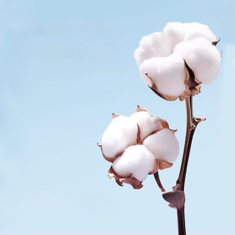 Новородено памучно квилтово одеяло, 100% памук, тегло до 0,5 кг, лято, карикатурен стил.