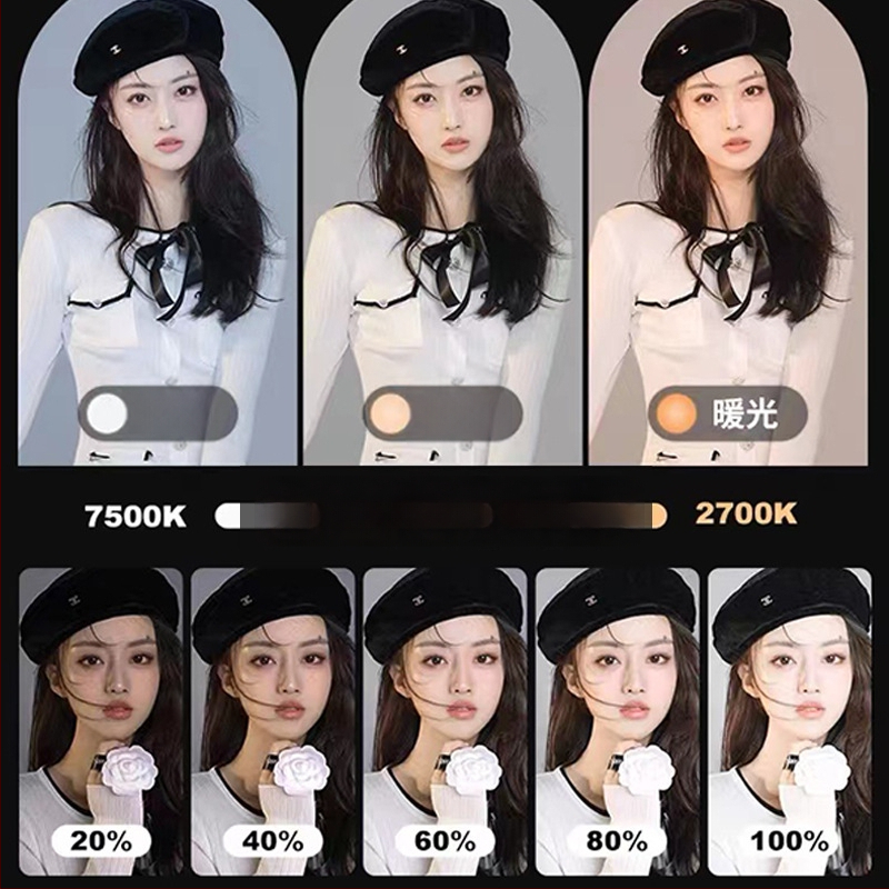 LED панел светлина за лайв стрийминг и фотозаснемане; преносима, 51-100W, 220V, вертикален монтаж, вътрешно видеозаснемане