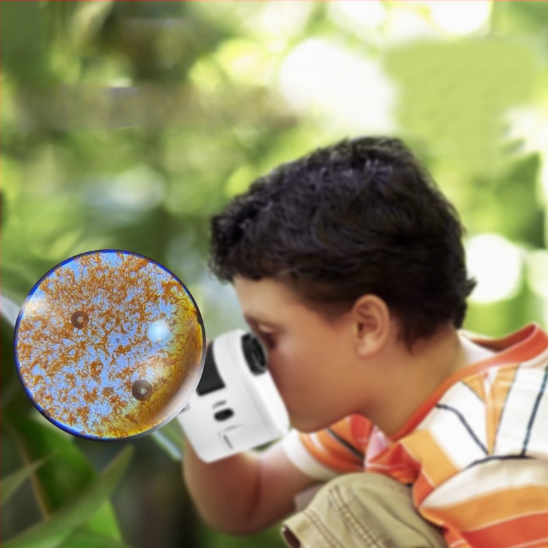 Chuda 100x Mini Mikroskop pre deti s LED svetlom a lampou na detekciu bankoviek