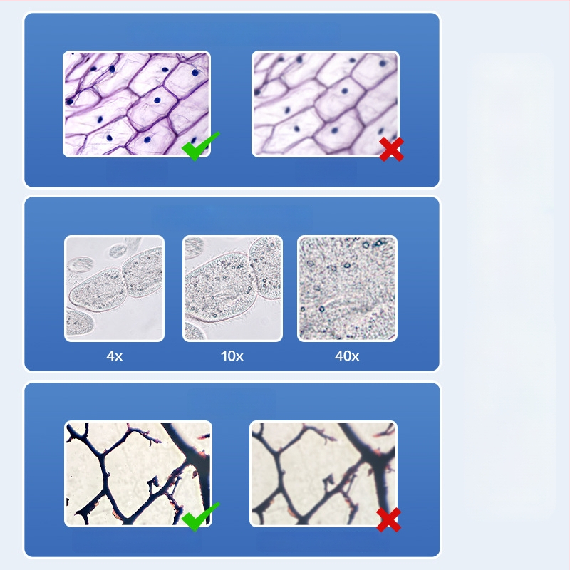 Optický mikroskop s vysokým rozlíšením pre biológiu a vzdelávanie — kovové telo, ručné ovládanie, pre študentov 14–35 rokov, značka Deli