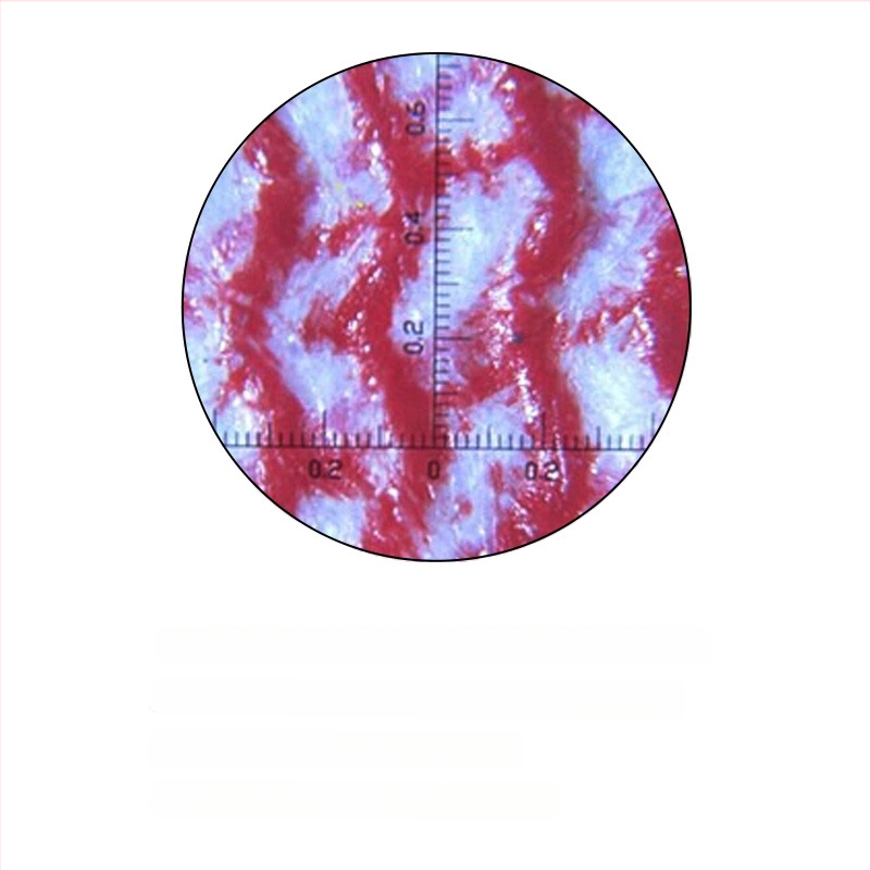 Prenosný profesionálny mikroskop - 100x zväčšenie, LED osvetlenie, meracia stupnica