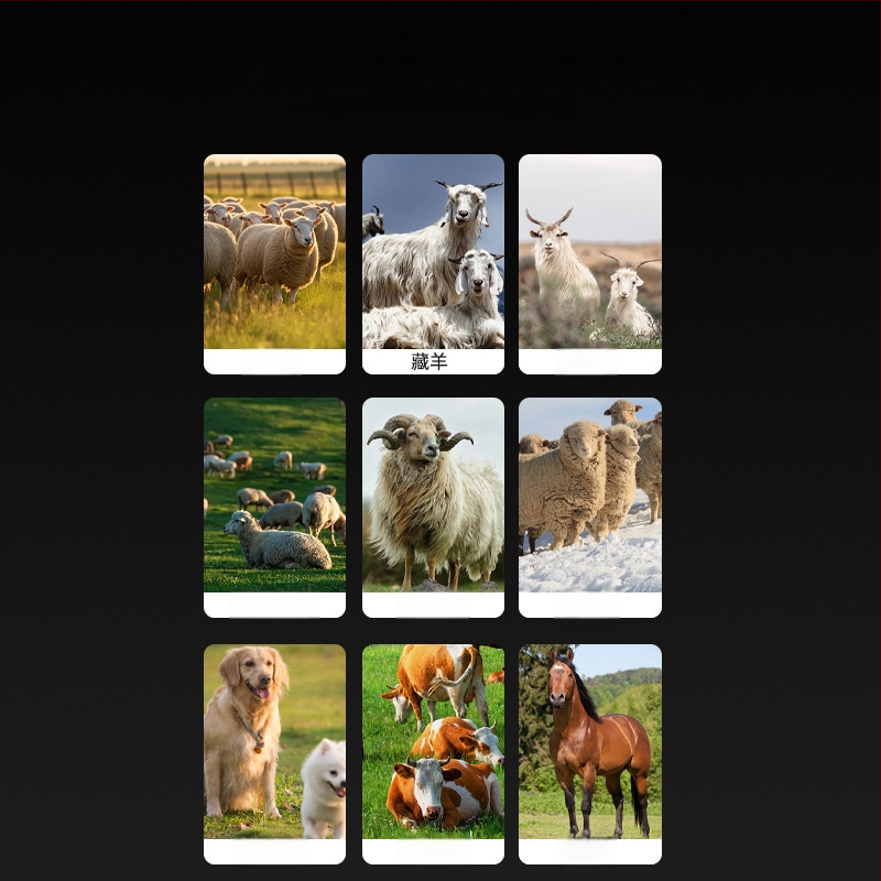 Elektrické nožnice na vlnu – keramická čepeľ, vysoký výkon, Huafei elektrické spotrebiče, vhodné pre súkromnú značku