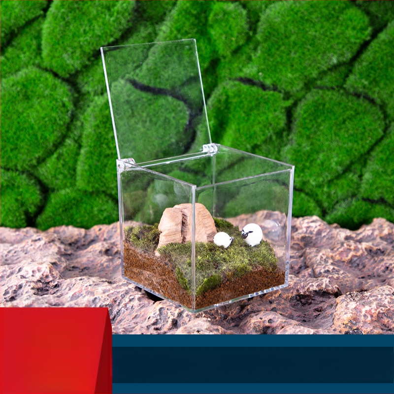 Akrilové terárium s mechem – mini DIY krabička na stôl, model Square Box Micro Landscape, Levana
