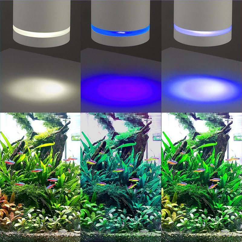 Spring Dragon ABS akvaariumi valgustus kinnitusega, päritolu Zhongshan