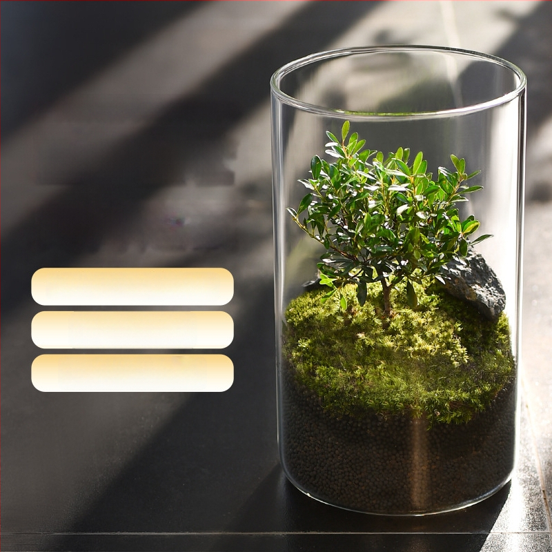 Prozirna staklena vaza za mikro krajolik, cilindrični oblik, borosilikatno staklo, prilagodljivo, Thick Glass