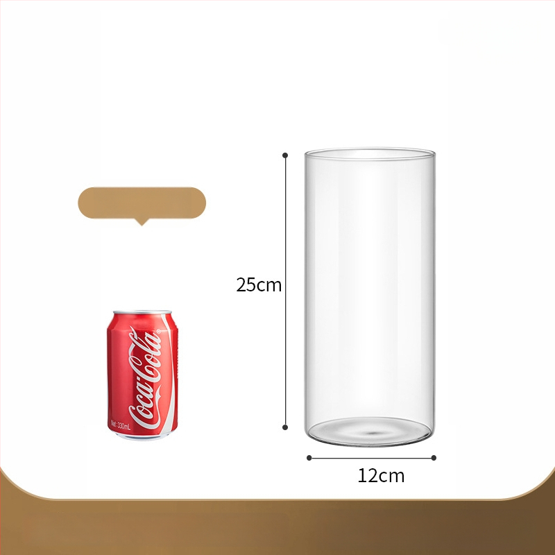 Prozirna staklena vaza za mikro krajolik, cilindrični oblik, borosilikatno staklo, prilagodljivo, Thick Glass