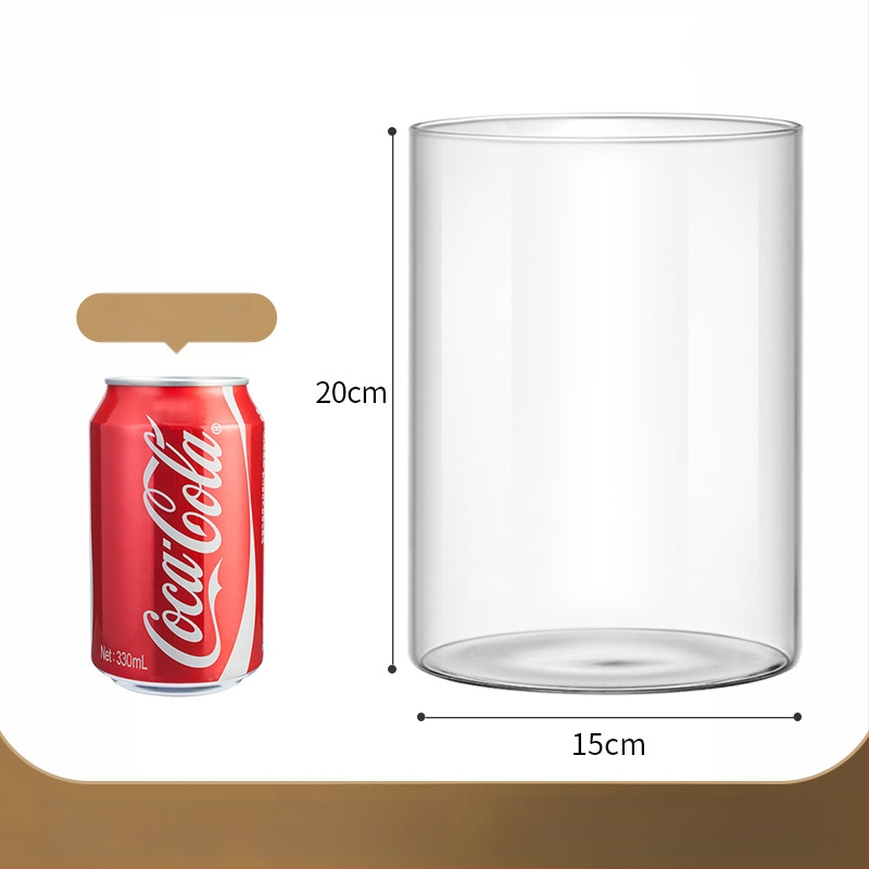 Prozirna staklena vaza za mikro krajolik, cilindrični oblik, borosilikatno staklo, prilagodljivo, Thick Glass