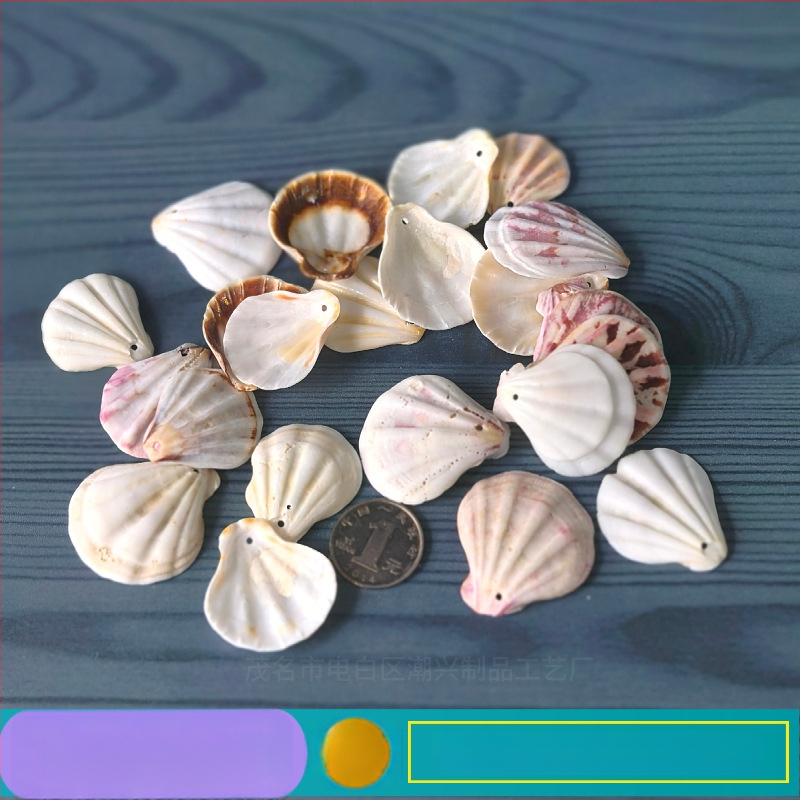 Prírodné mušle a morská hviezda pre terárium/akvárium, s perforáciami, ručne vyrobené rámčeky na detské fotografie, DIY zvonček vetra a fľaša drift