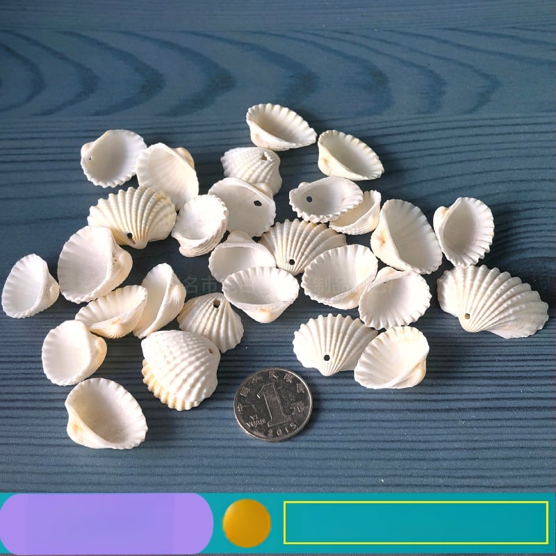 Prírodné mušle a morská hviezda pre terárium/akvárium, s perforáciami, ručne vyrobené rámčeky na detské fotografie, DIY zvonček vetra a fľaša drift