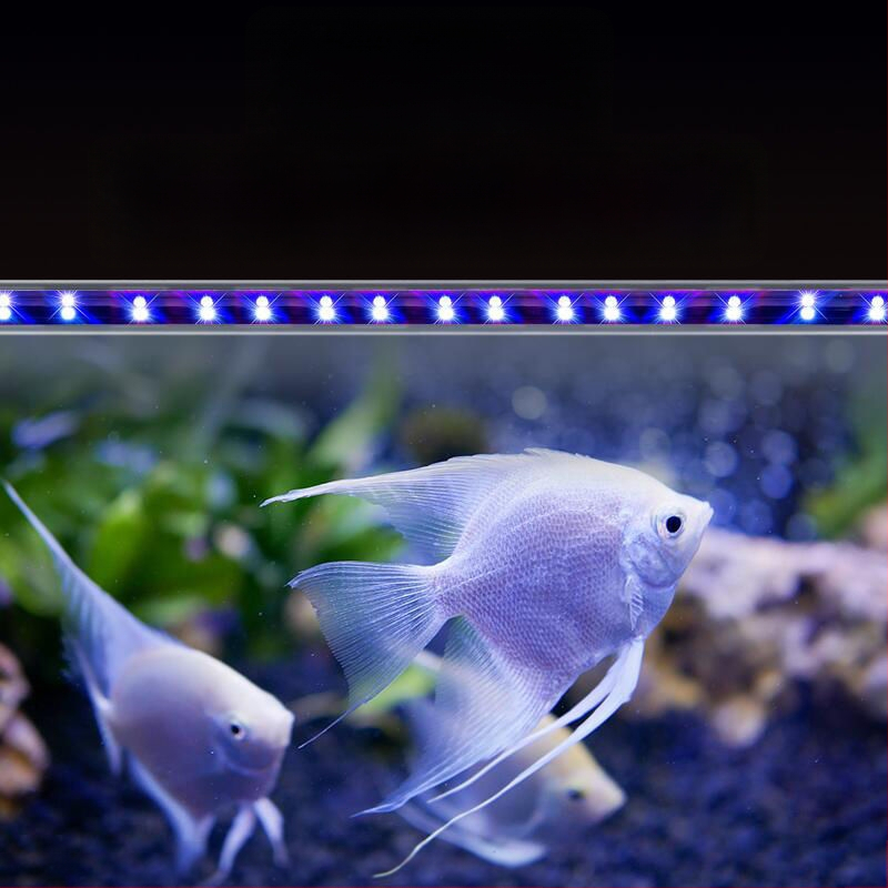 LED ponorné svetlo pre akvárium, vodotesné so spínačom