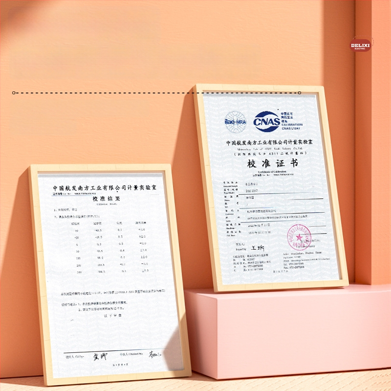 Delixi potravinový teplomer: rozlíšenie 0,1°C, sonda z 304 nerezovej ocele, IPX5 vodotesný, balené po 500 kusov