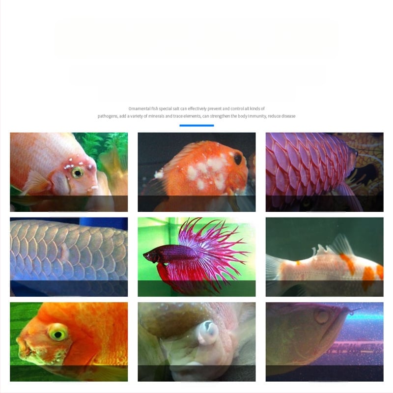 Akvarijná soľ – prírodná morská soľ, Značka Blue Treasure, Kategória: Iné akvarijné pomôcky