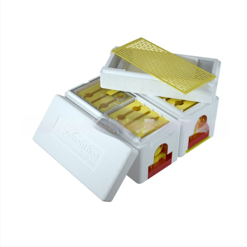 Yifeng H18 – kéthéjú habos méhkas tenyésztésre és integrált párosító doboz