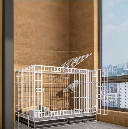 Klietka na holuby – zosilnená kovová konštrukcia pre chov a párenie; Materiál: nízkouhlíková oceľová drôt; Pre vtáky