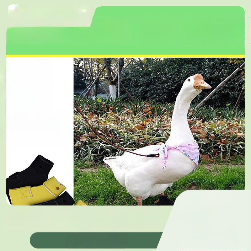 Topánky na ochranu labiek pre kačice a husy – nylon, vonkajšie použitie, pôvod Šandong