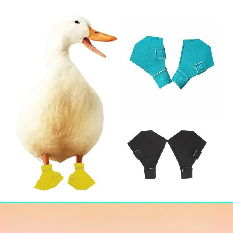 Topánky na ochranu labiek pre kačice a husy – nylon, vonkajšie použitie, pôvod Šandong