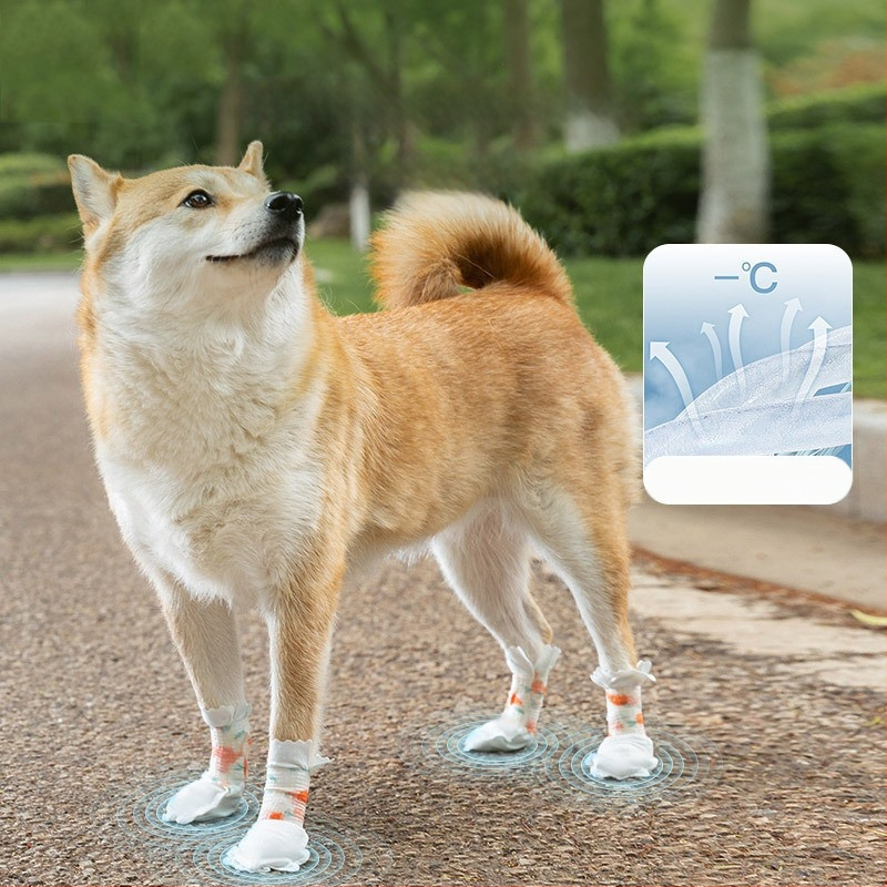 Ühekordsed koera käppade katetid — libisemiskindlad, kulumisaldavad, veekindlad, mitte-kuduv materjal