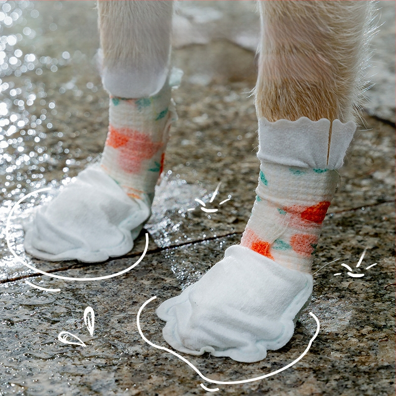 Ühekordsed koera käppade katetid — libisemiskindlad, kulumisaldavad, veekindlad, mitte-kuduv materjal