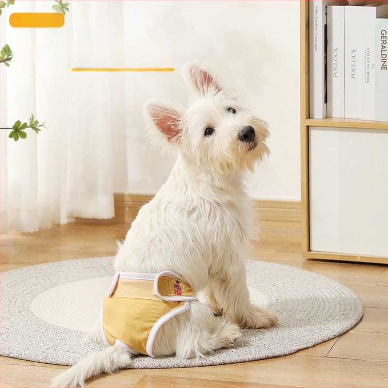 Psie menštruačné nohavičky, bavlnené, kreslený štýl, fyziologické nohavice pre psy