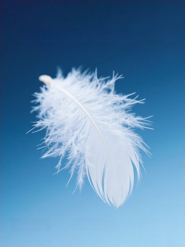 Vesta z kačacím downom, stojací golier, nylonová látka, 86–90% down, voľný mestský strih