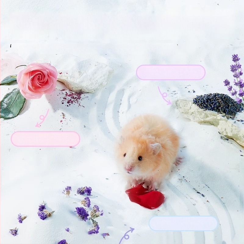 Pješčani za kupanje hrčaka — dezodorirajući učinak, pakiranje 20 kom., podrijetlo Shandong, za hrčke