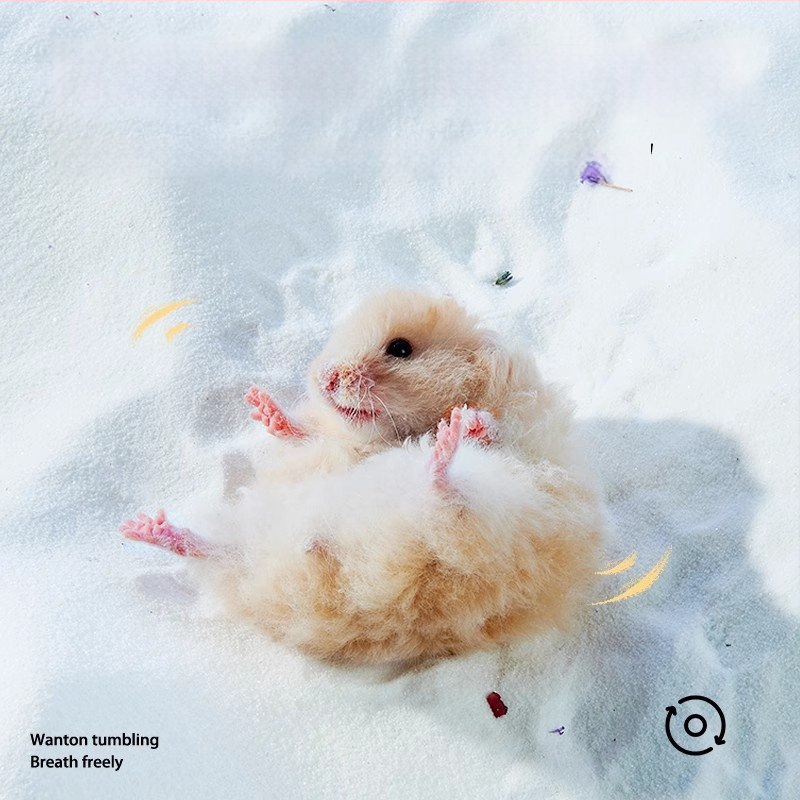 Pješčani za kupanje hrčaka — dezodorirajući učinak, pakiranje 20 kom., podrijetlo Shandong, za hrčke