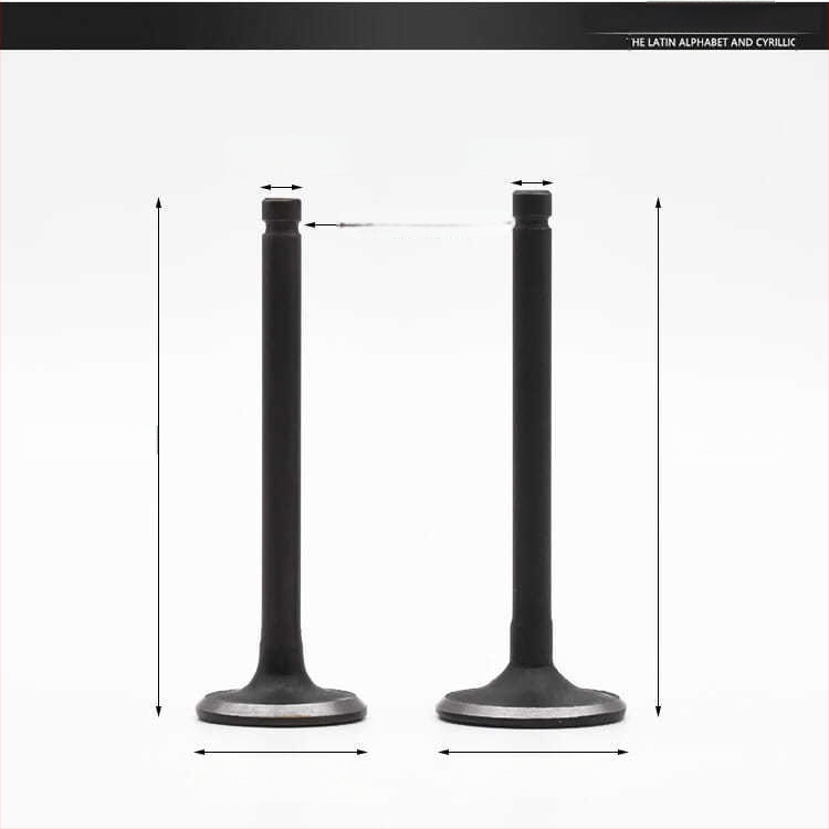 Motocykelový ventil Mojielong GY6 MOTUOCHE