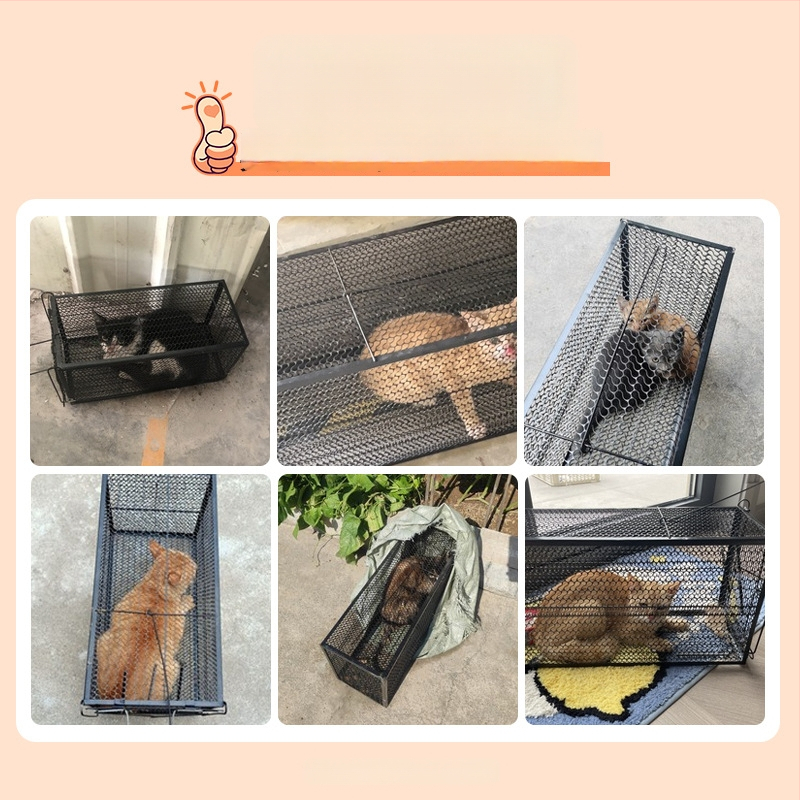 Power catch Automatinė kačių gaudyklė narvas — skirta didelių graužikų gaudymui, gyvūnų gelbėjimo narvas namų ir benamiams katėms, netoksiška tvirta konstrukcija