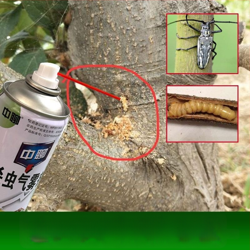 Insekticíd pre ovocné stromy – broskyňový a figový strom – kontroluje bore a ďalšie škodcov – WP20150149, veľmi toxický