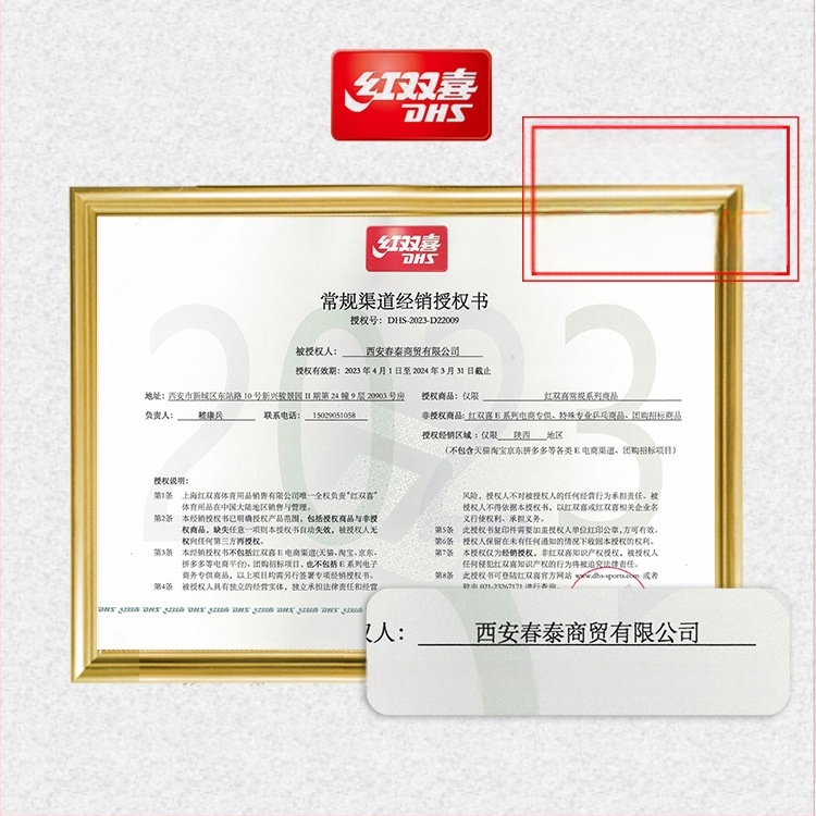 DHS 1012, 2 vienetų badminton raketės komplektas, aliuminio lydinio rėmas, nailono siūlai, pradedantiesiems jaunimui