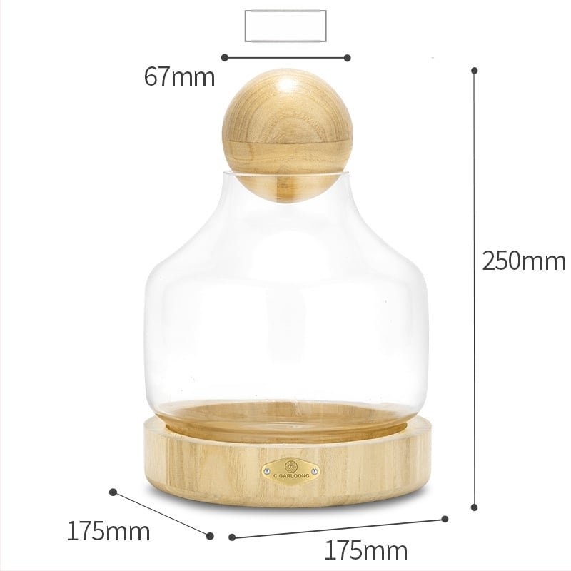 Кутия за етикети на пури Cigarloong – пластмасова, стил Light Luxury за съхранение и показване