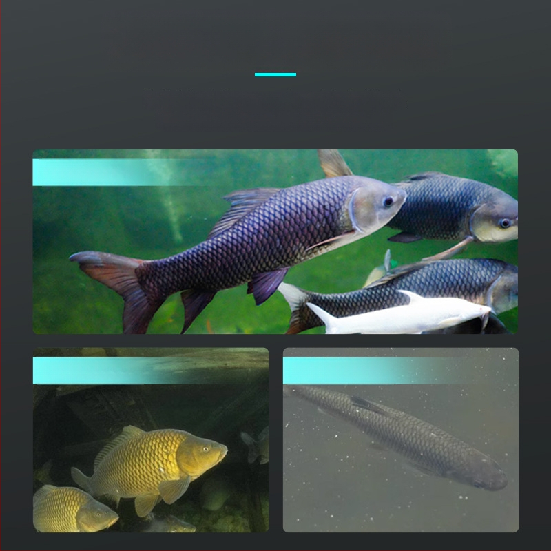 Allveese kalapüügi kaamera öise nägemisega, kaasaskantav HD pilt, kohandatav detektor (Sügavus: 0.6–73 m; Toide: DC 10–18V; Kaabel: 10–30 m)