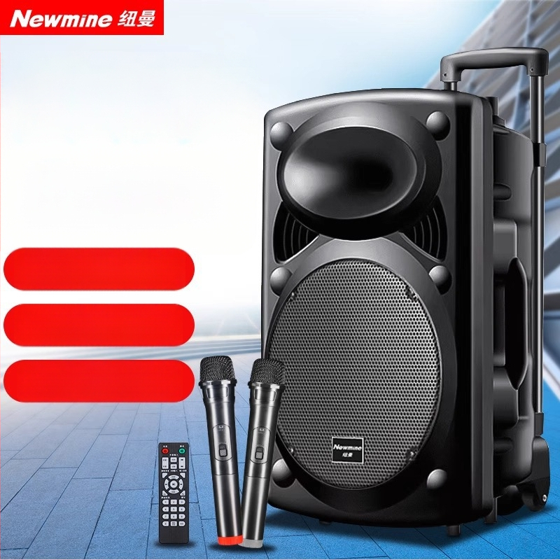 Neumann B12 Ārējais Karaoke skaļrunis, 2 skaļruņi, Bluetooth 5.0, iekšēja akumulatora jauda 2000–4000mAh, 30W