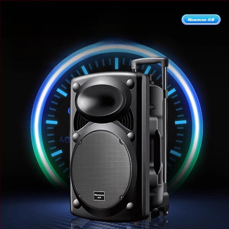 Neumann B12 Ārējais Karaoke skaļrunis, 2 skaļruņi, Bluetooth 5.0, iekšēja akumulatora jauda 2000–4000mAh, 30W