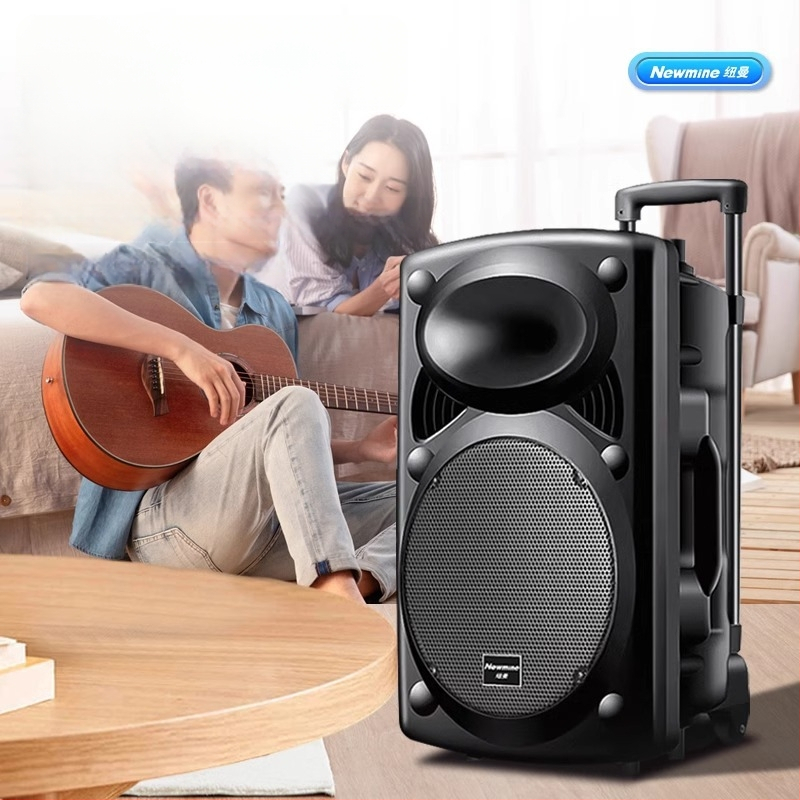 Neumann B12 Ārējais Karaoke skaļrunis, 2 skaļruņi, Bluetooth 5.0, iekšēja akumulatora jauda 2000–4000mAh, 30W