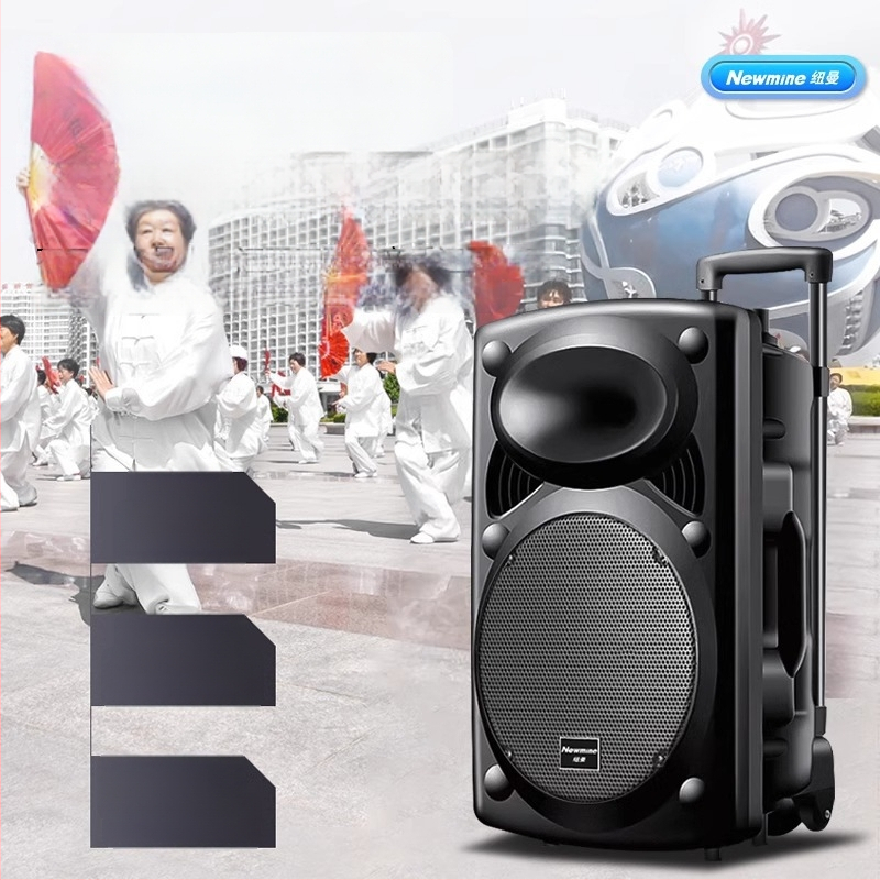 Neumann B12 Ārējais Karaoke skaļrunis, 2 skaļruņi, Bluetooth 5.0, iekšēja akumulatora jauda 2000–4000mAh, 30W