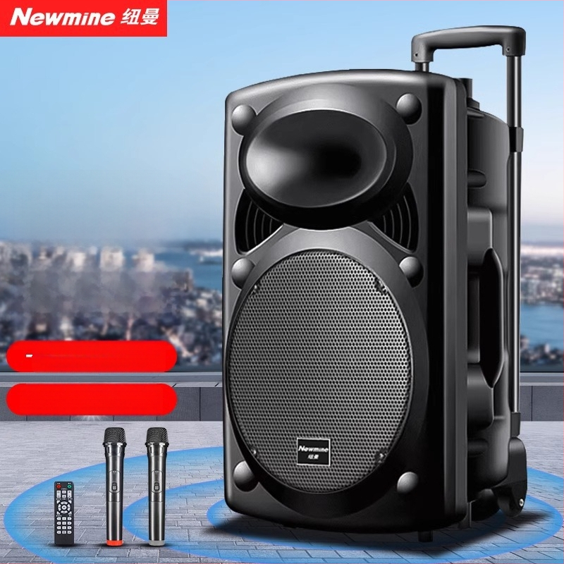 Neumann B12 Ārējais Karaoke skaļrunis, 2 skaļruņi, Bluetooth 5.0, iekšēja akumulatora jauda 2000–4000mAh, 30W